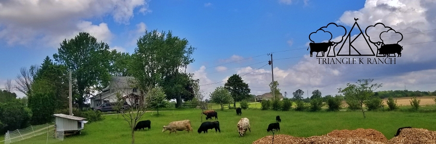 Herd in barnyard